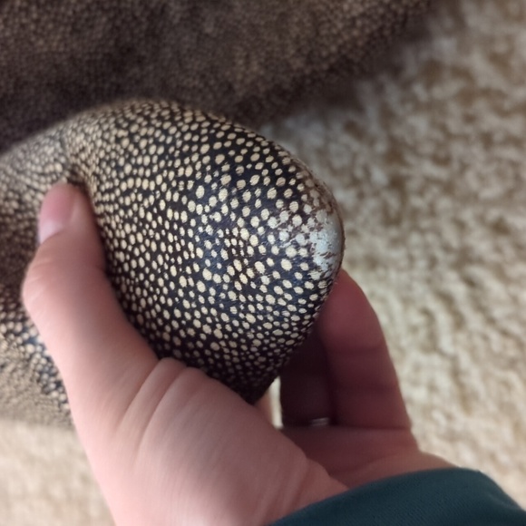 Madewell Nadine Animal Print Chelsea Booties Size 10 - Picture 3 of 14